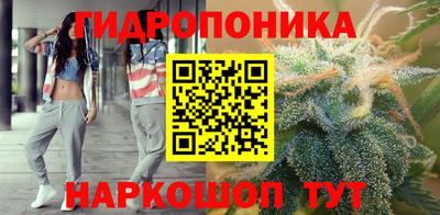 a pvp Аргун