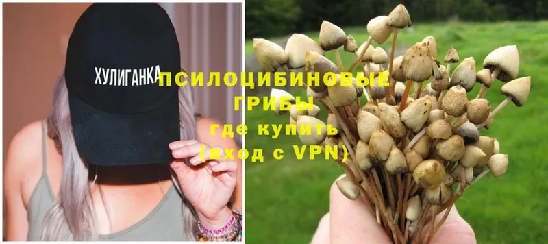 Галлюциногенные грибы Magic Shrooms  цена наркотик  Белогорск 